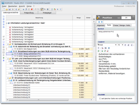 Schnell und einfach GAEB-LVs erstellen mit AVAPLAN® GAEB LVs mit AVAPLAN® erstellen